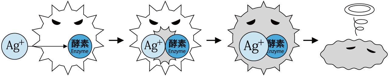 ゼオミックの抗菌メカニズム