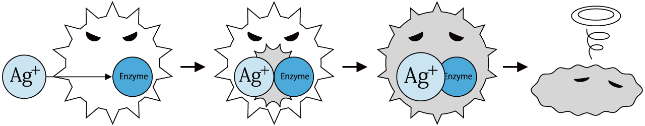 ゼオミックの抗菌メカニズム