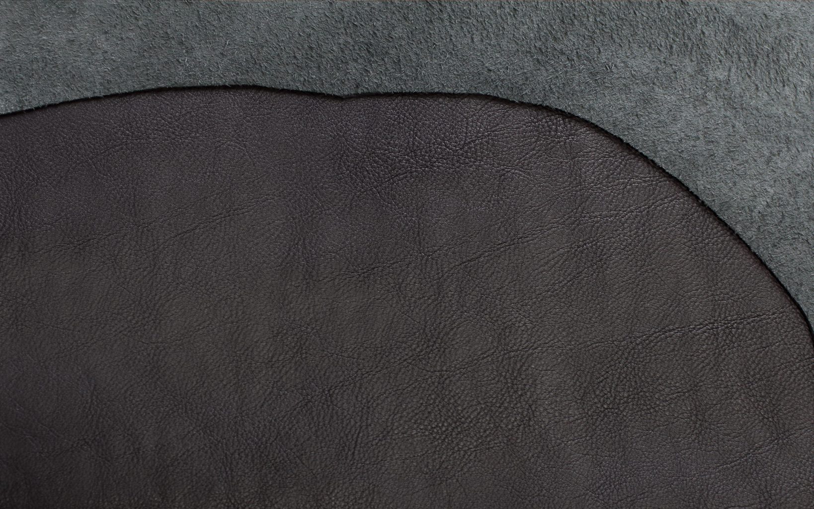 ecosoft
