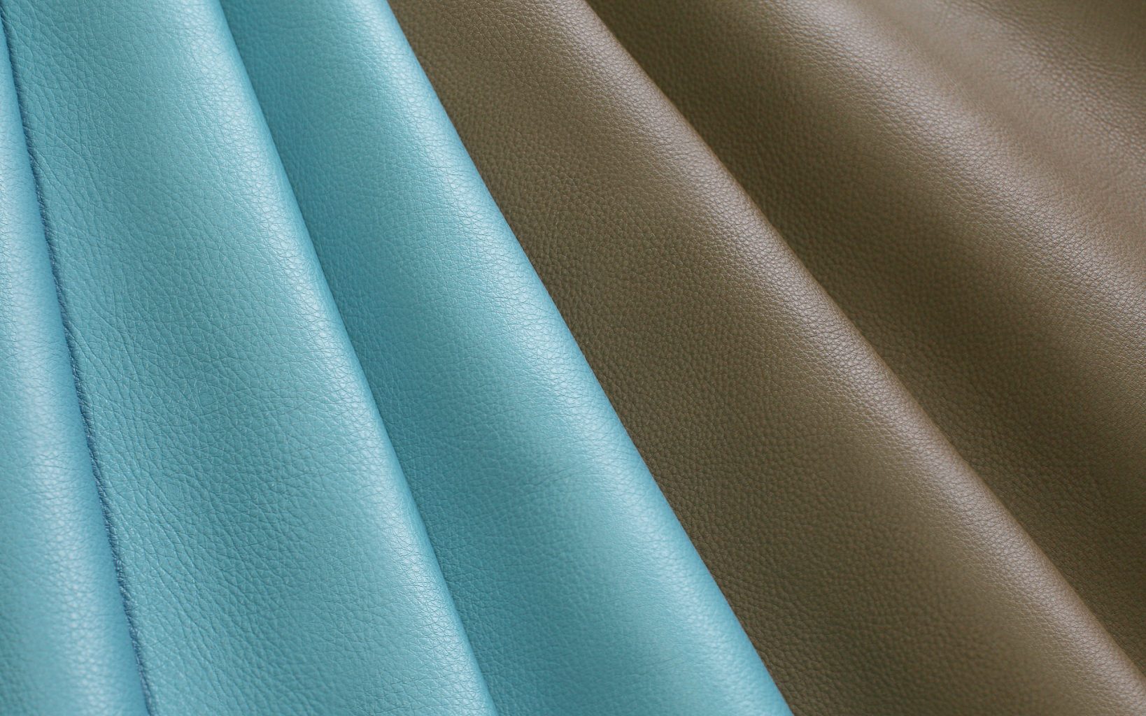 garment