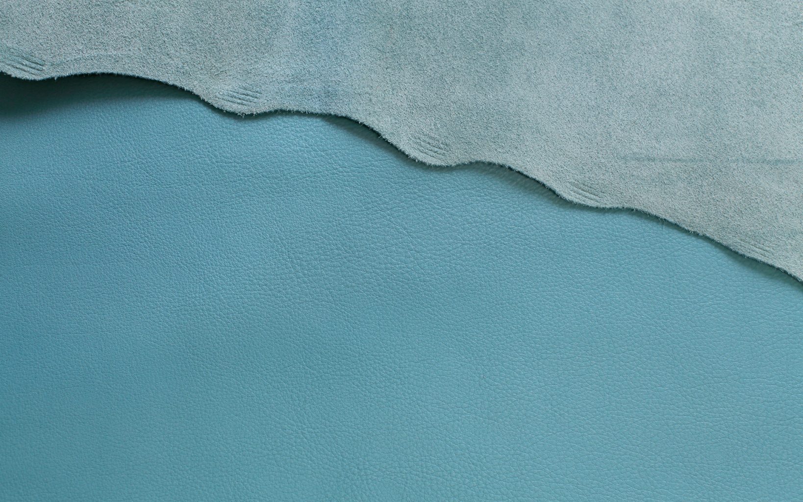 garment